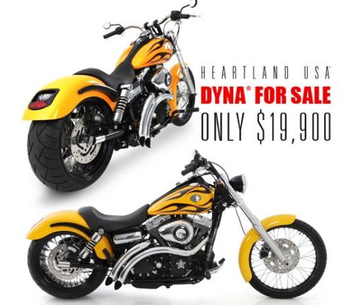 $19,900 Dyna For Sale